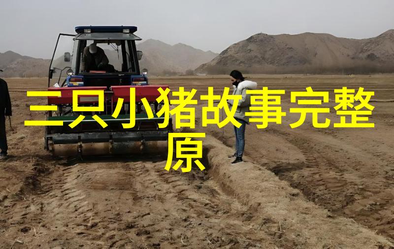 一夫多妻制的床边隐秘同时睡一床的道德与法律探讨