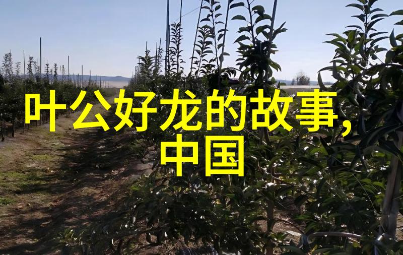 千载之下芙蓉依依吊起忠魂的故事