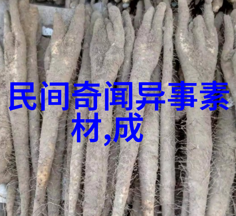 尼古拉斯塔伦蒂诺好莱坞之王的电影私房话