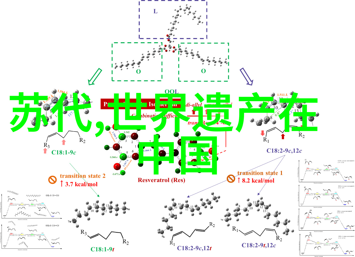 新年献礼神话中的元旦奇遇