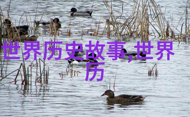 爱情监视器的安静夜晚熟睡中的DATE与隐秘的情感
