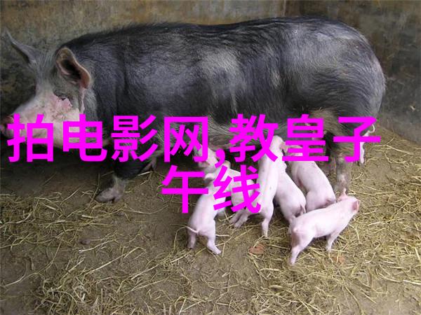 南宋英雄孟珙尝后图中的智勇双全