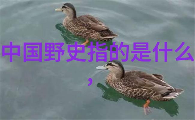 河南省之虎金兀术与牛皋的命运交响曲