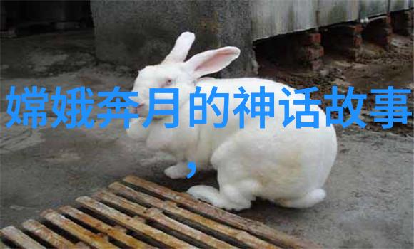 历史上的15个惊魂夜时间的长河中沉默的故事