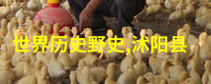 朱棣逆袭明朝末年朱棣能否成功篡位