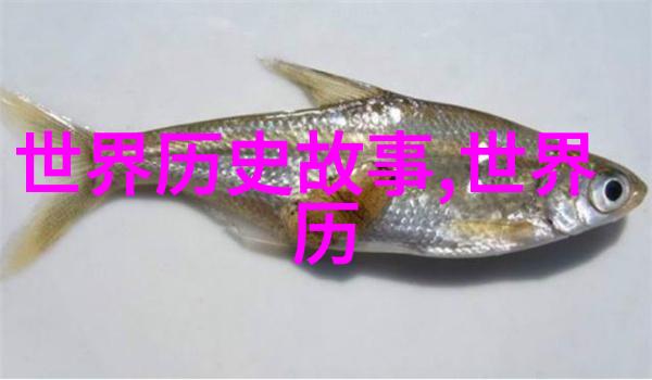 多尔衮玩孝庄清朝宫廷的秘密游戏与权力斗争