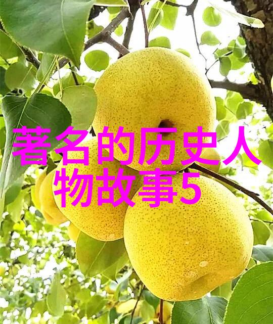 云深清浅时东奔西顾一段寻觅的旅途