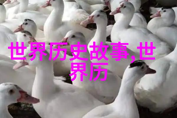 历史上的趣人豆腐桥民间故事