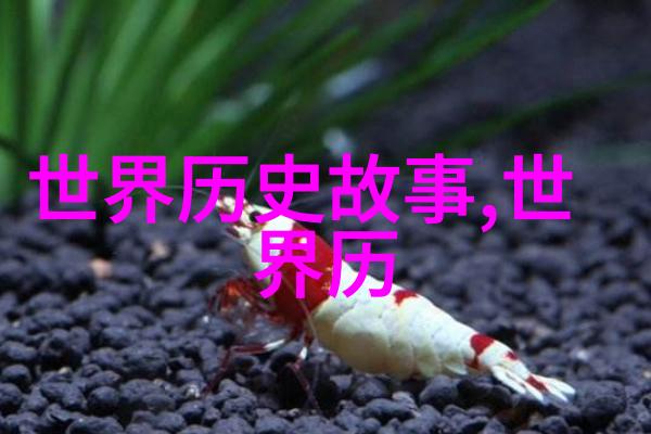 金戈铁马下的和平建设 元朝边疆政策分析