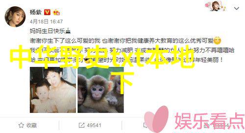 经历时光的见证者中国历史上的著名文物