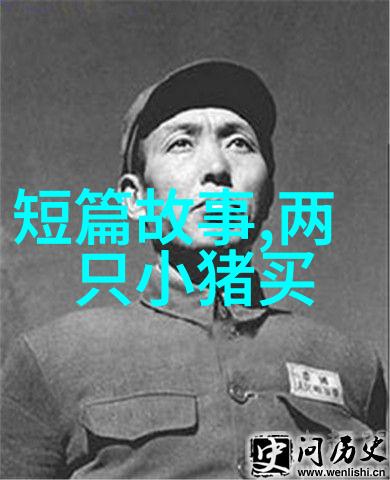 明朝最好的帝王一位英明的领袖