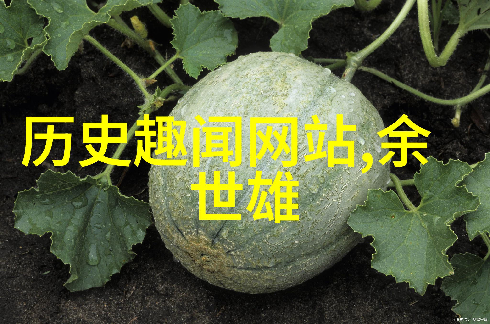 中国神话故事长篇龙凤呈祥与天地万物