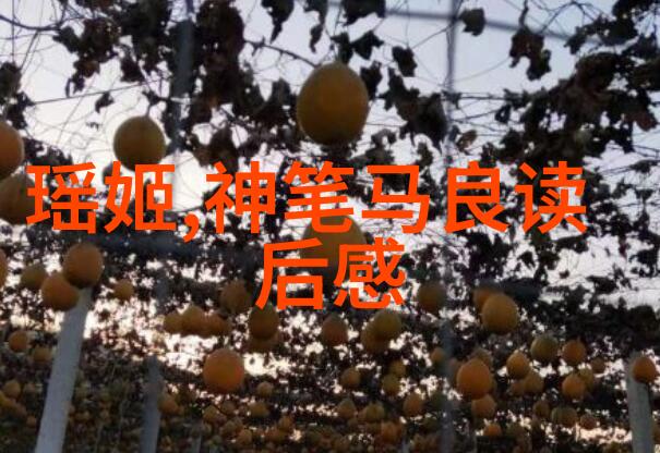 科学与艺术并行达芬奇创意背后的科学原理是什么