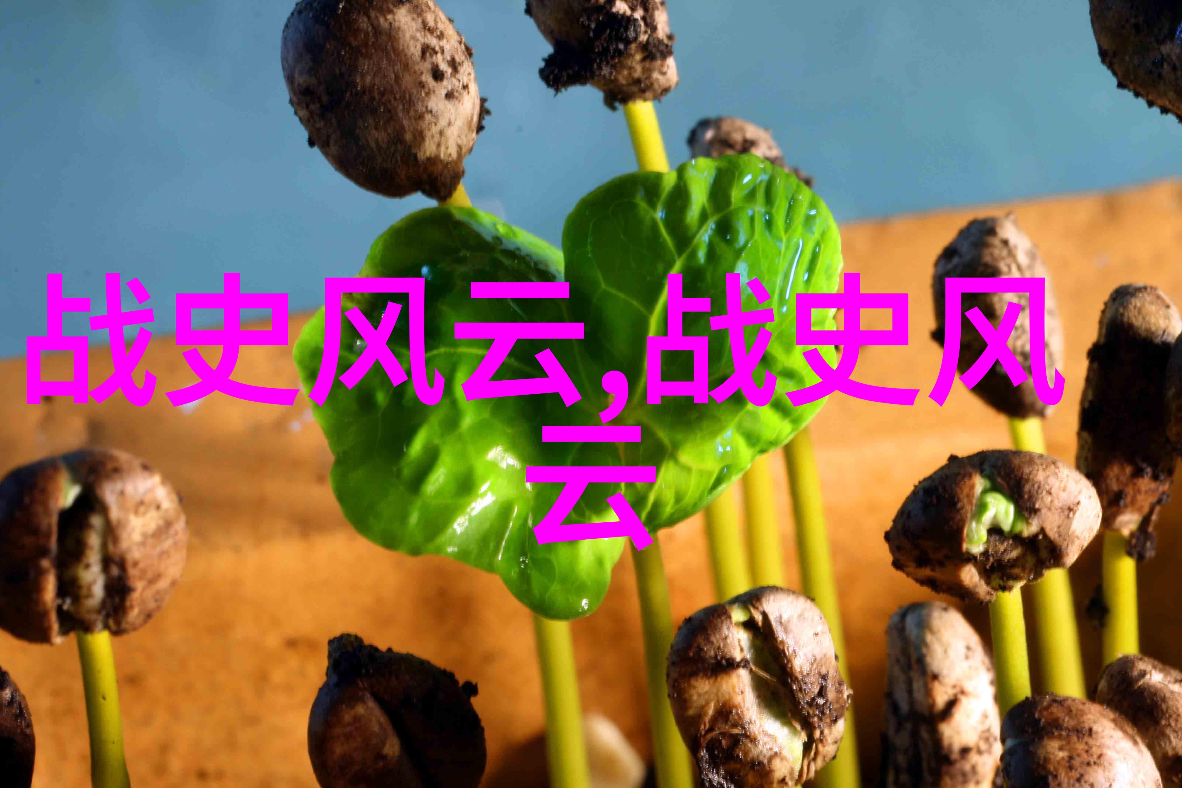 人物传记-刘博宽追逐梦想的工程师