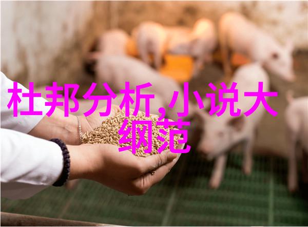 袁绍之于三国犹如纳牙阿中的无形力量支撑着一片繁华的历史景象
