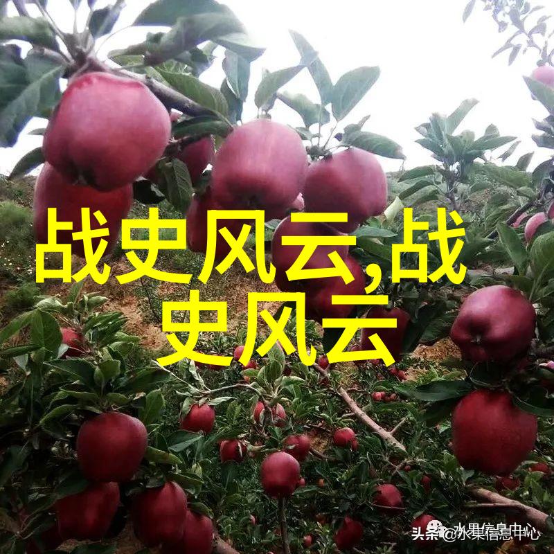 天降神仙1988年奇迹般的下凡记