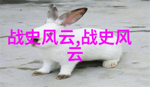 韩鹏尧宗室的遗物