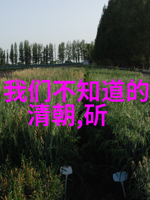 揭傒斯东晋十六国名将之巅峰者