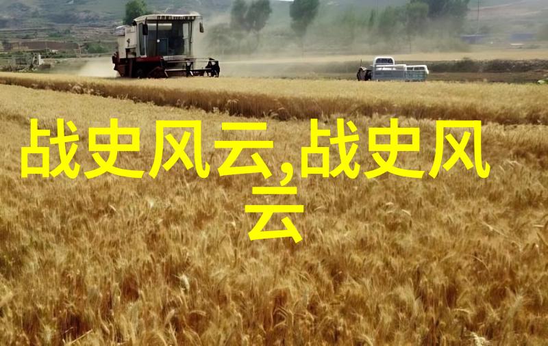 我要看豫剧戏曲李国智老生传统魅力
