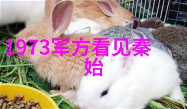 三人运动怎么做来看看我是如何和我的两个小伙伴一起打篮球的