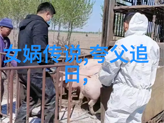 南京大屠杀悲剧纪念与和平呼吁