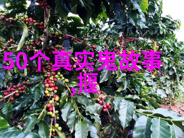 探索中华民族的文化根源传统儿童故事的魅力与教育意义