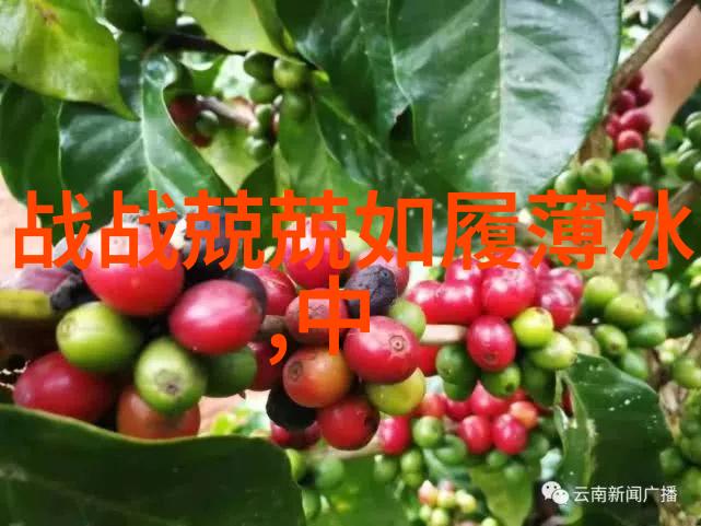 解开世界最大的谜团为什么人类总是把牙膏放在浴室里
