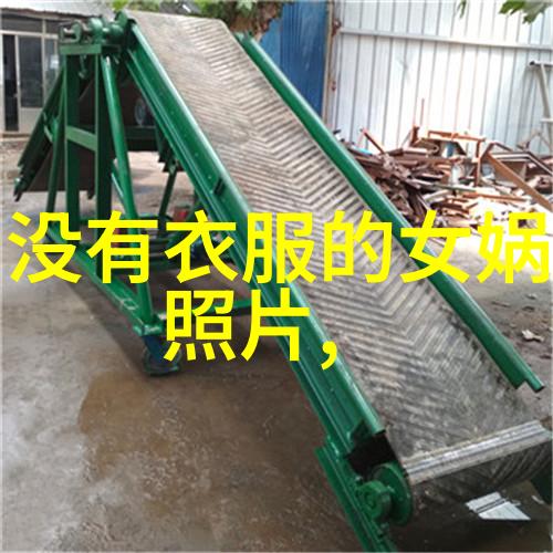 清朝皇帝的妃子都是层层挑选出来的为何留下的照片都是丑我一个普通太监如何在这宫廷深处探寻答案