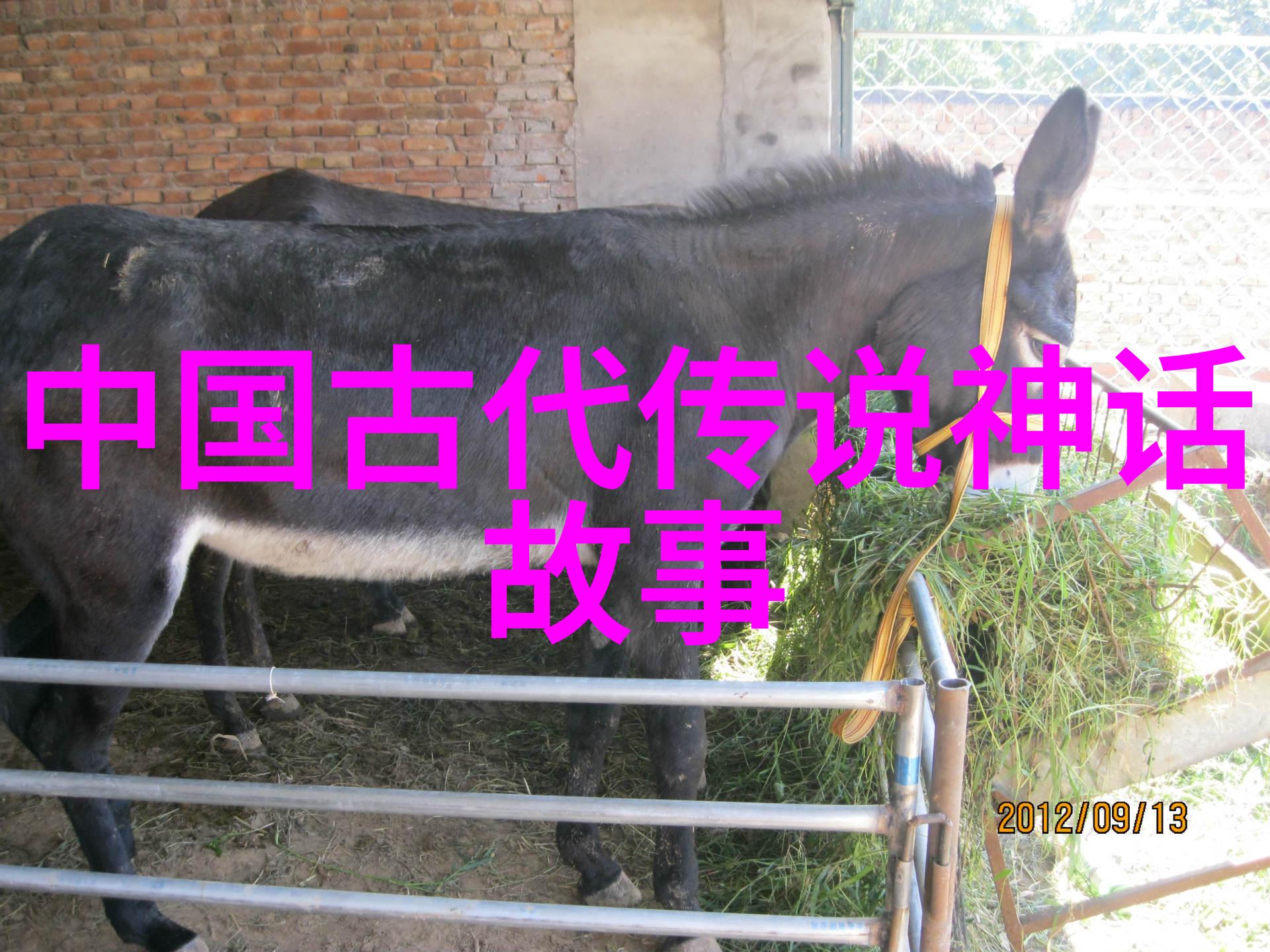 孙志宏后四小名旦中的京剧票友