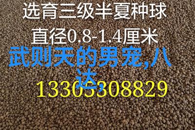 麻豆自制传媒国产之光APP国产原创视频内容平台