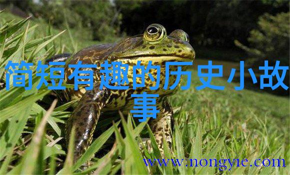 我是歌手第一季第一期完整版视频赖美云的初舞台