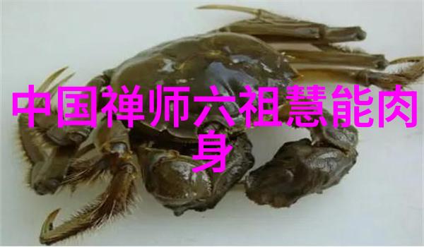 数据驱动下的企业文化奇迹一个成功案例的深度探究