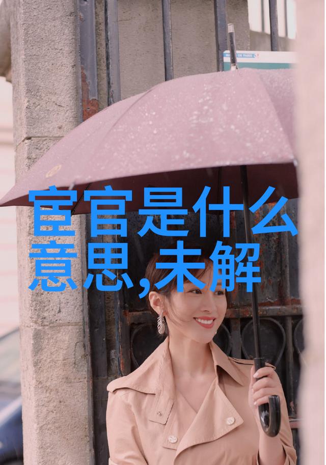 中国历史网追学网深入探索中华五千年的辉煌成就