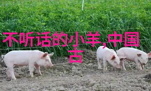 天空之巅的牛奶大盗