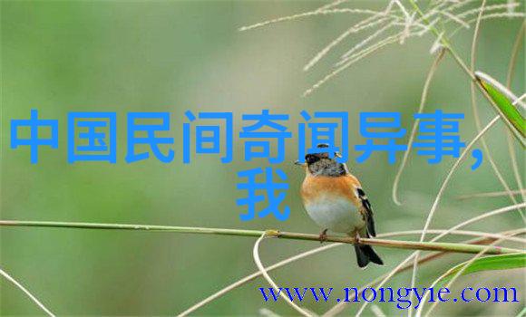 马的太长疼揭秘马匹健康问题