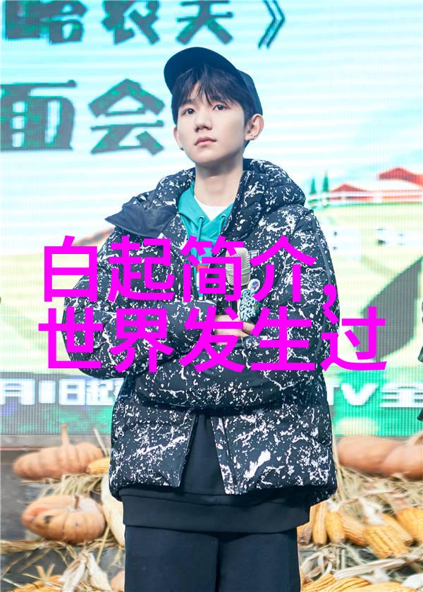 阴影中的皇帝揭秘被遗忘的明朝君主