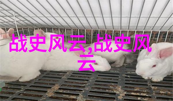 儿童传统文化故事研究探索中华民族精神的载体与维度