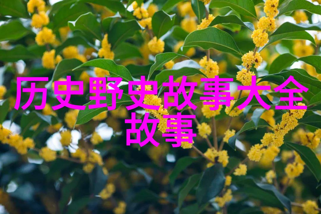民间故事30篇传说与智慧的编年史