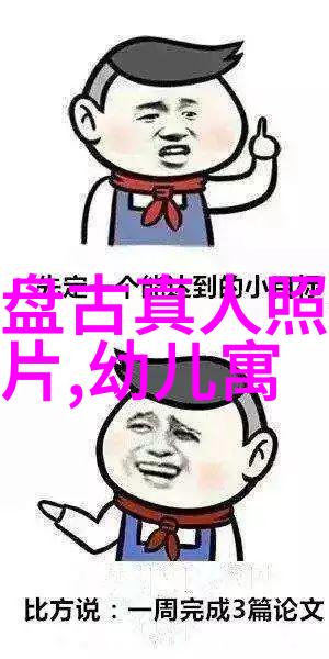 明朝的辉煌与衰落一个历史的解说