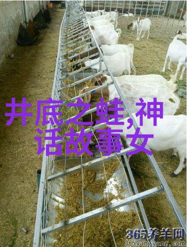 春秋战国时期武将排名司马错的兵器