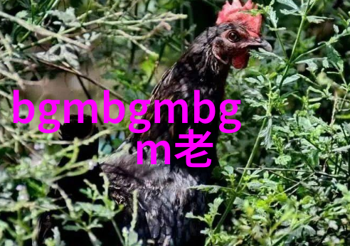 中国古代神话故事英语揭秘那些年我在英汉对话中遇到的老虎狐狸和黄雀中国古代神话故事的英语奇遇