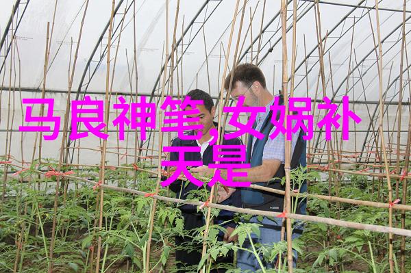 简约之美50字寓言深度剖析