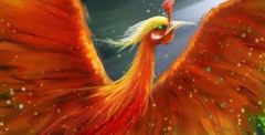 神话传说里四大神兽的来历分别是什么