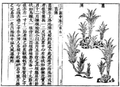 古代传说中的风生兽有哪些神奇的能