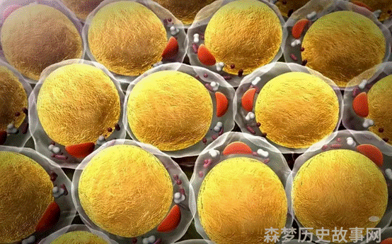 人体自燃现象_人体自燃真的存在吗_人体自燃