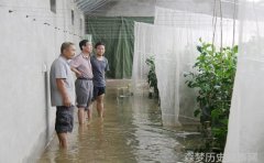中国科学家为科学创新不断拼搏的力