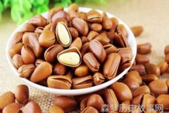 战史风云铁血年代的英勇传奇