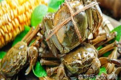 战史风云英勇无畏的战士们