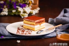 铁血征程战史风云中的英勇传奇