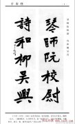 猫小帅的奇幻冒险